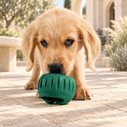 Waggletoys Pupsicle Interactive Dog Ball Toy