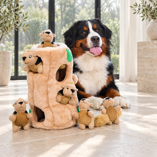 Waggletoys Hide-and-Seek Squirrel Plush Dog Toy
