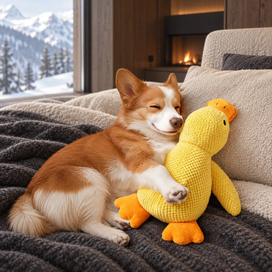 Waggletoys Squeaky Plush Duck Dog Toy