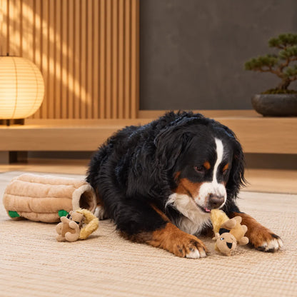 Waggletoys Hide-and-Seek Squirrel Plush Dog Toy