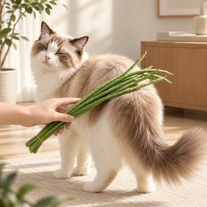 Waggletoys Green Bean Cat Teaser Wand