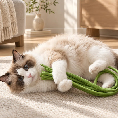 Waggletoys Green Bean Cat Teaser Wand